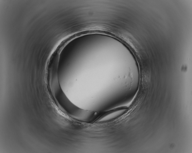 X0000096171116200801181244