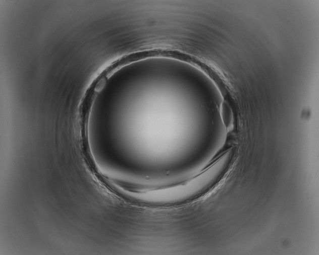 X0000096171118200801181244