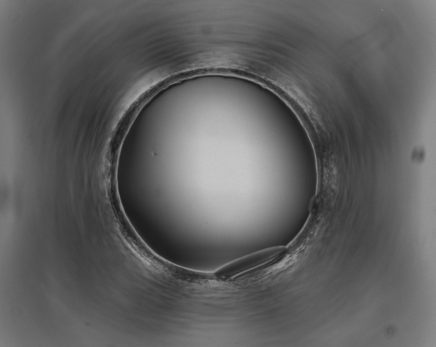 X0000096171119200801181244