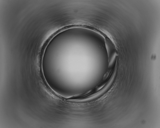 X0000096171120200801181244