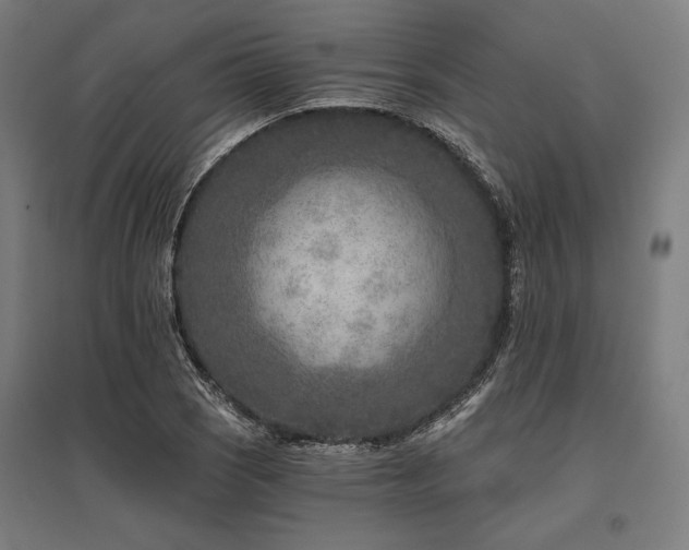 X0000096171121200801181244