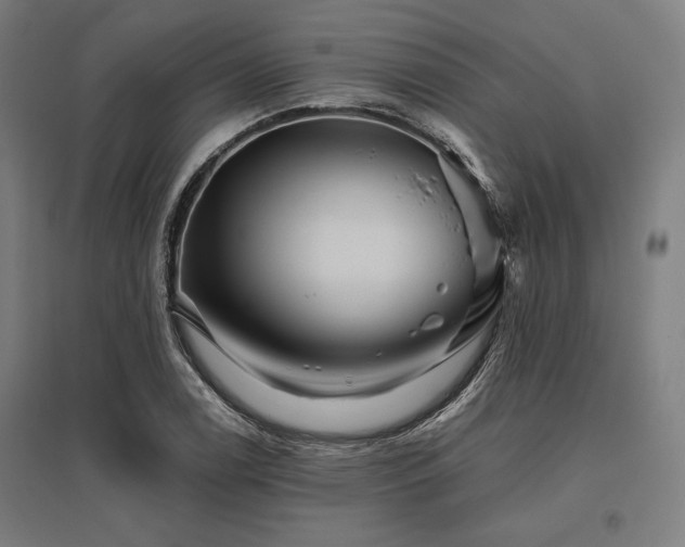 X0000096171122200801181244