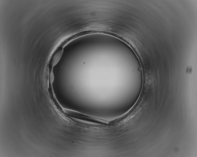 X0000096171123200801181244
