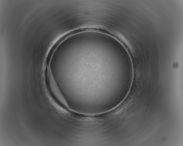 X0000096171124200801181244