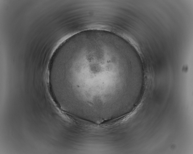 X0000096171125200801181244