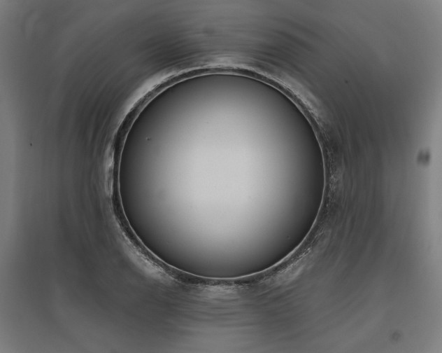 X0000096171126200801181244