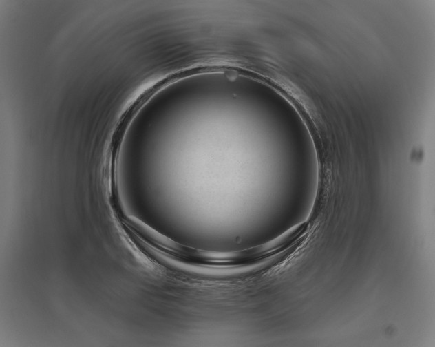 X0000096171127200801181244