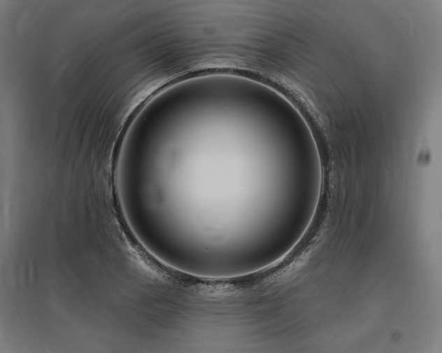 X0000096171129200801181244