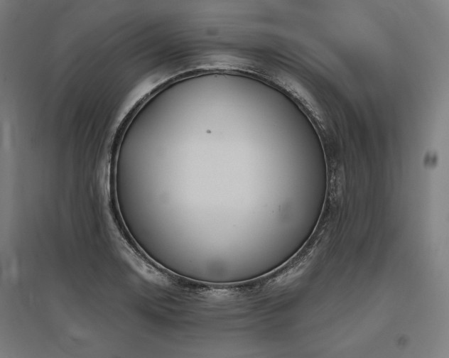 X0000096171130200801181244