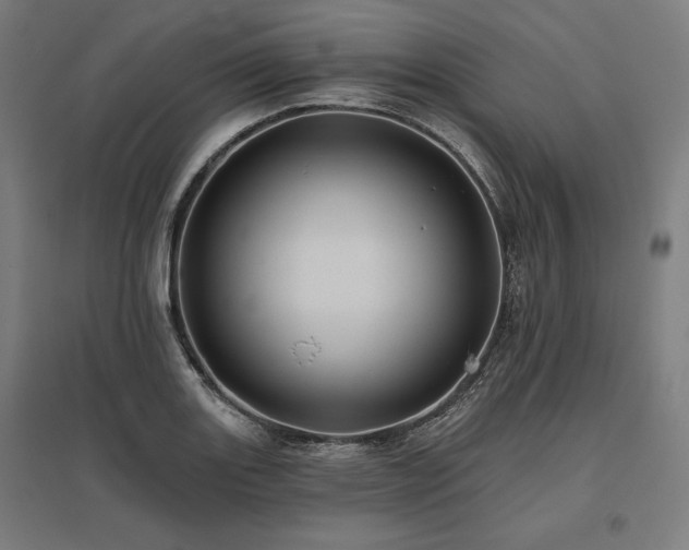 X0000096171131200801181244