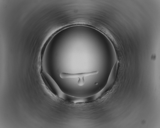 X0000096171132200801181244