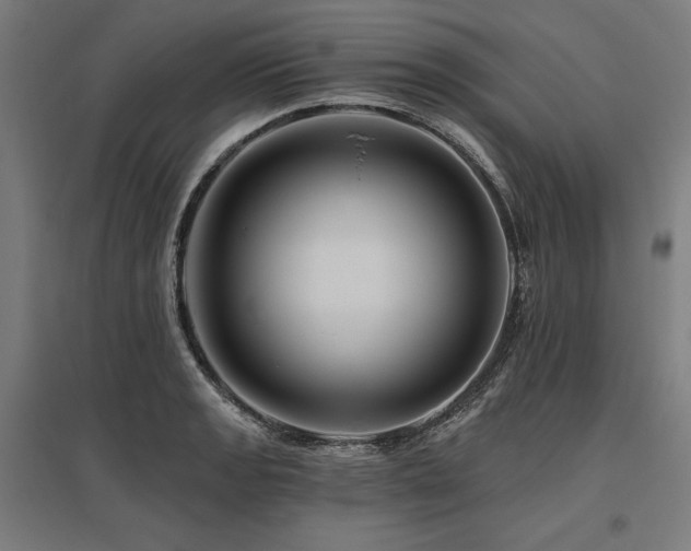 X0000096171133200801181244