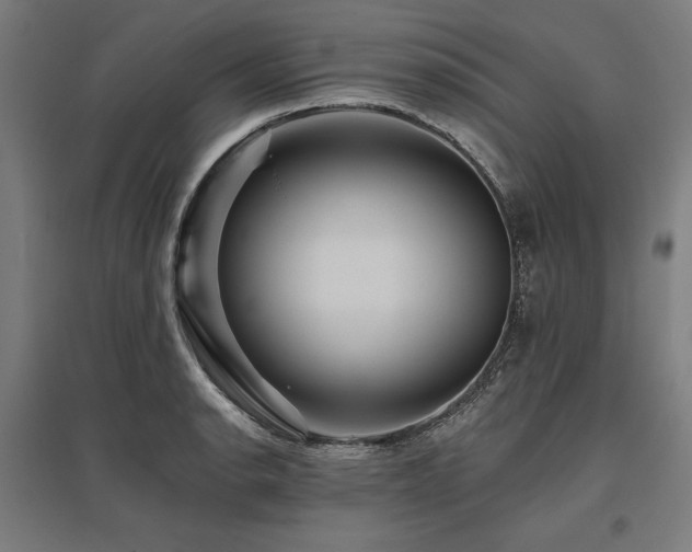 X0000096171134200801181244
