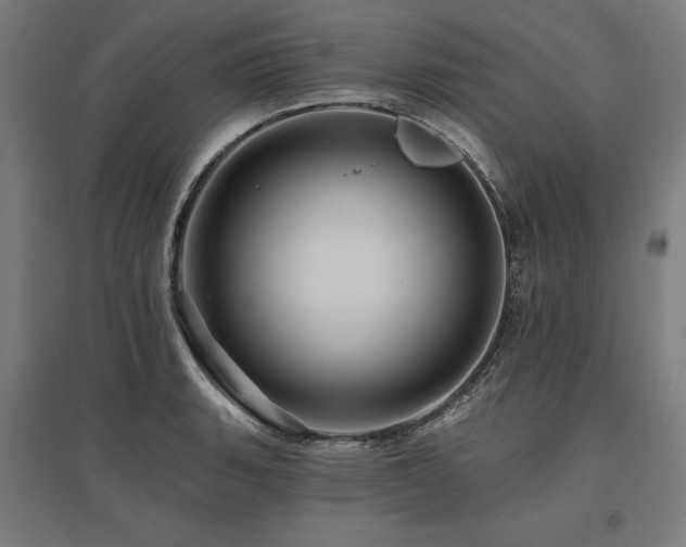 X0000096171135200801181244