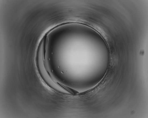 X0000096171136200801181244