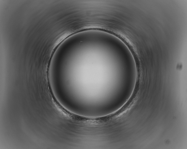 X0000096171137200801181244