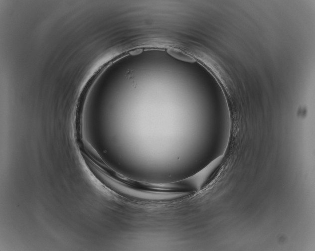 X0000096171139200801181244