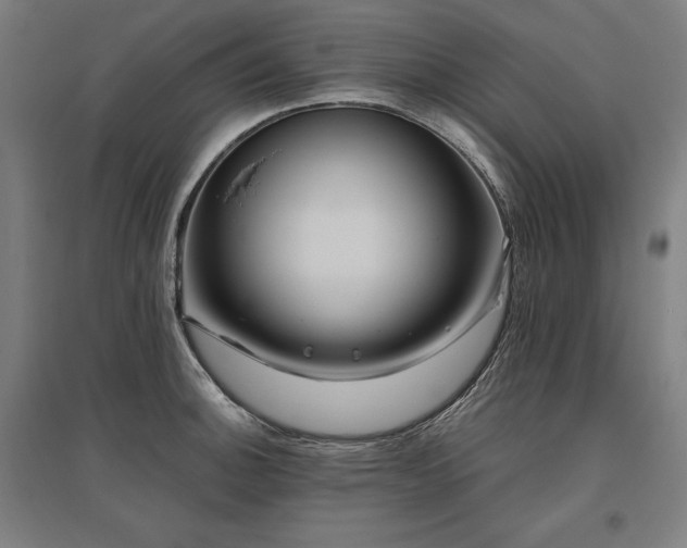 X0000096171140200801181244