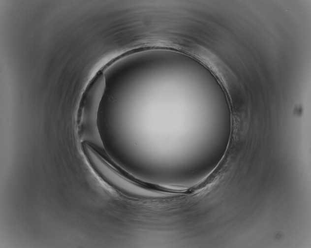 X0000096171141200801181244