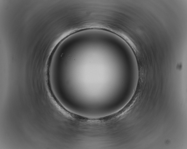 X0000096171142200801181244
