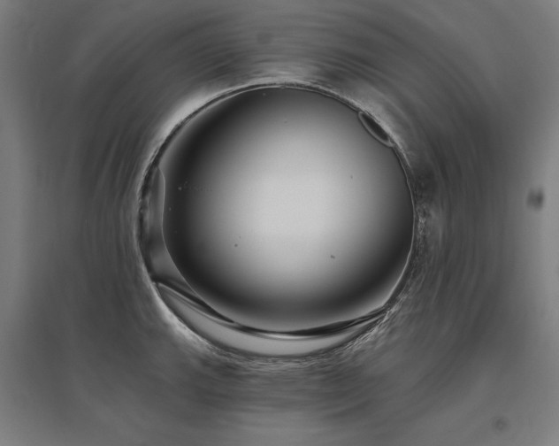 X0000096171143200801181244