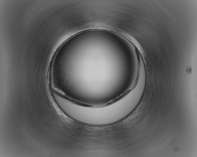 X0000096171144200801181244