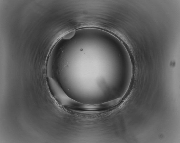 X0000096171145200801181244