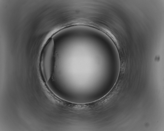 X0000096171146200801181244