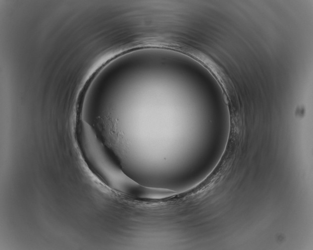 X0000096171147200801181244