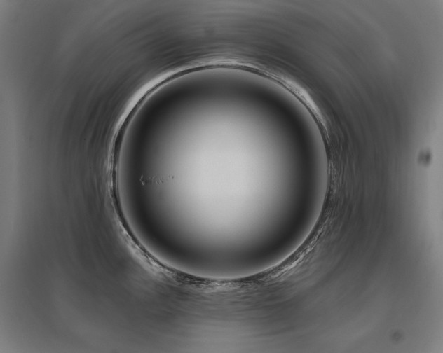 X0000096171148200801181244