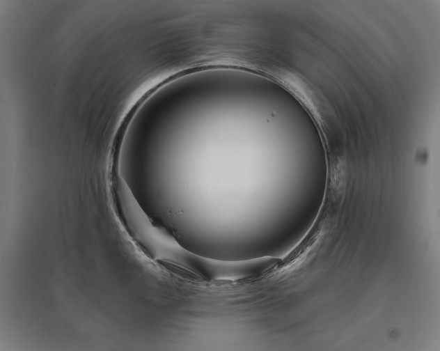 X0000096171149200801181244