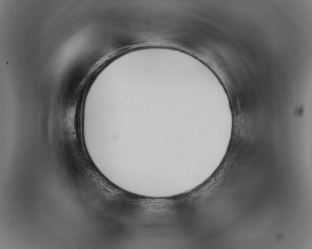 X0000096171150200801181244
