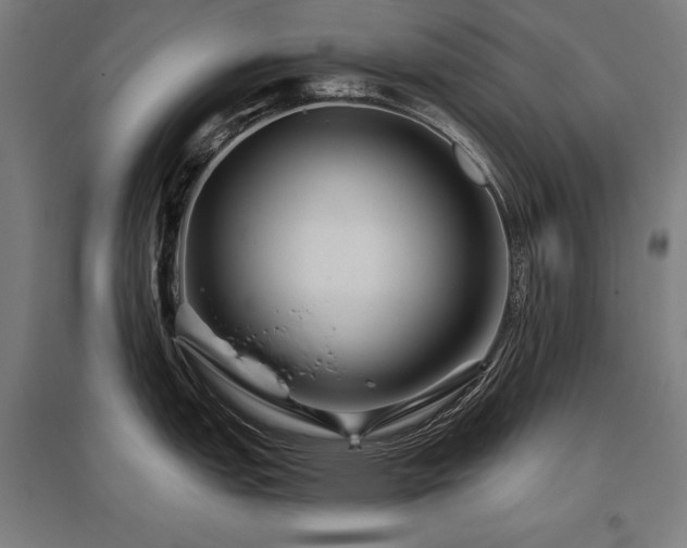 X0000096171151200801181244