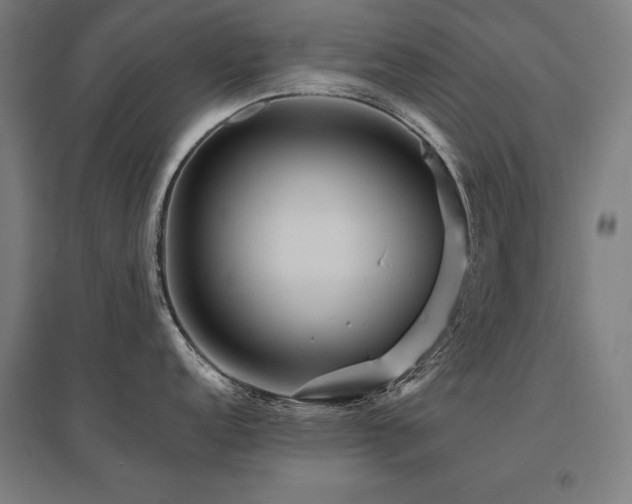 X0000096171152200801181244