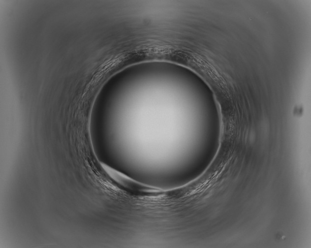 X0000096171153200801181243