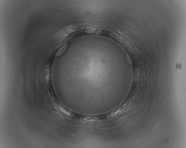 X0000096171154200801181243