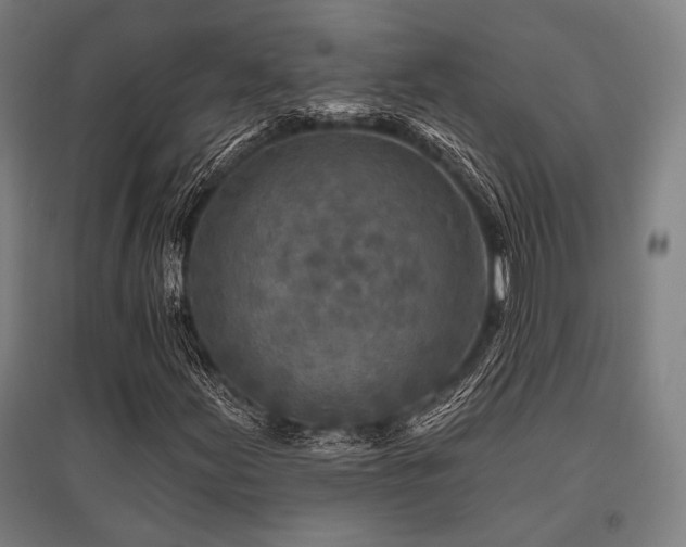 X0000096171155200801181243
