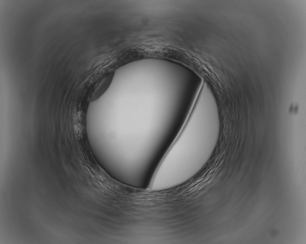 X0000096171156200801181243