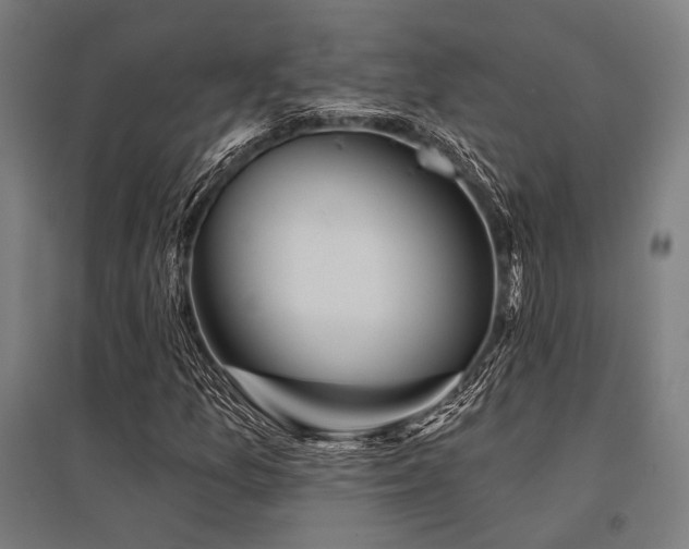 X0000096171157200801181243