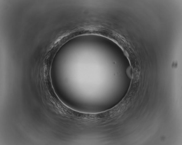 X0000096171158200801181243