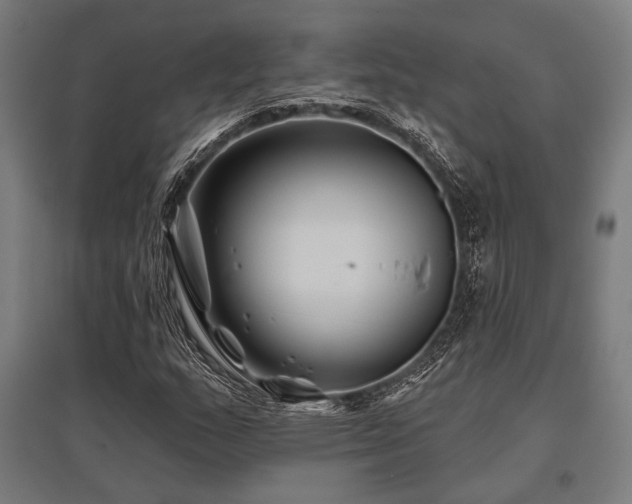 X0000096171159200801181243
