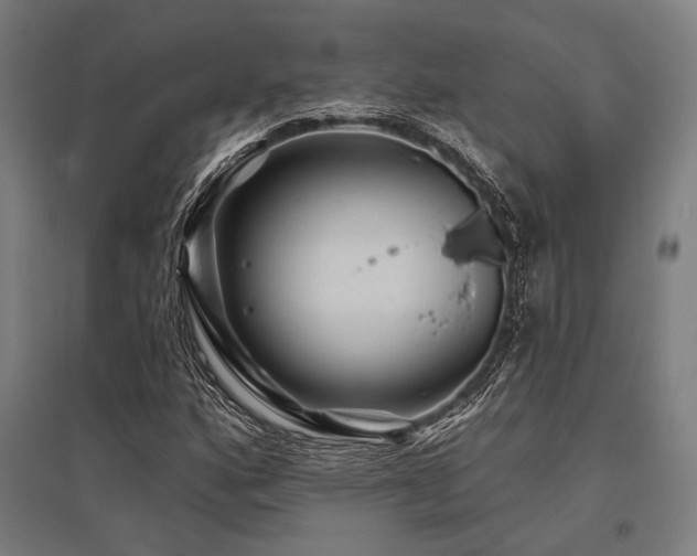 X0000096171160200801181243