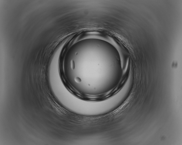 X0000096171161200801181243