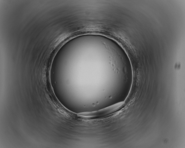 X0000096171162200801181243