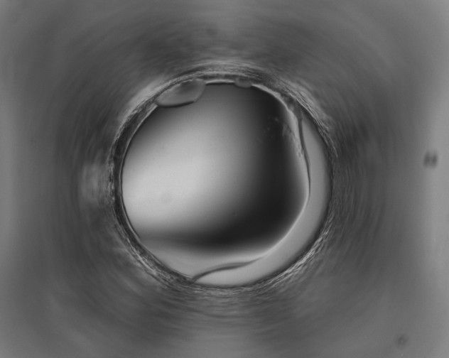 X0000096171164200801181243