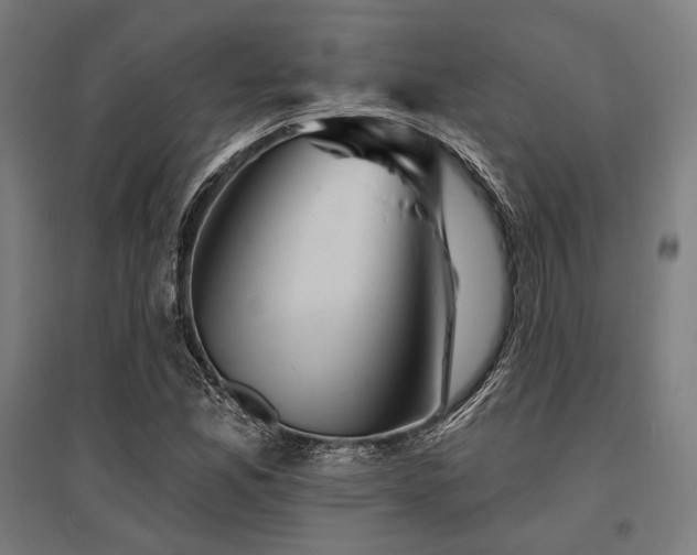 X0000096171165200801181243