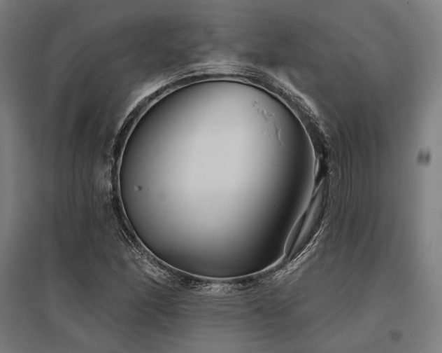 X0000096171166200801181243