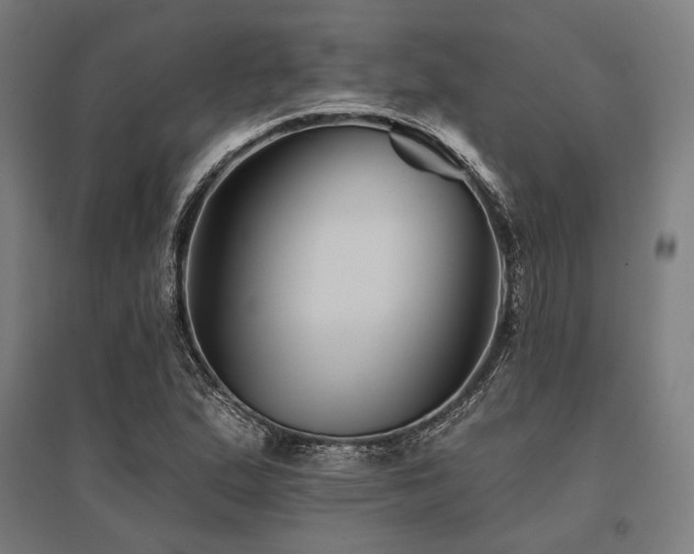 X0000096171167200801181243