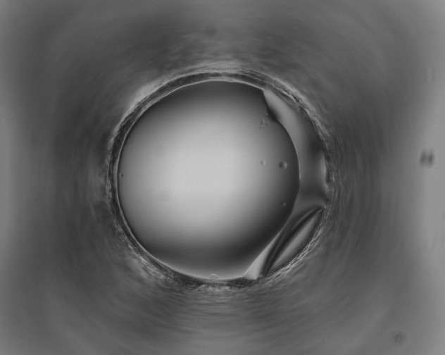 X0000096171168200801181243