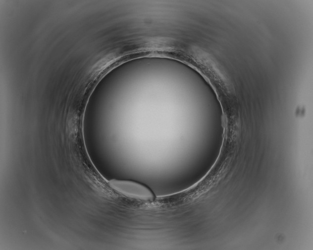 X0000096171169200801181243